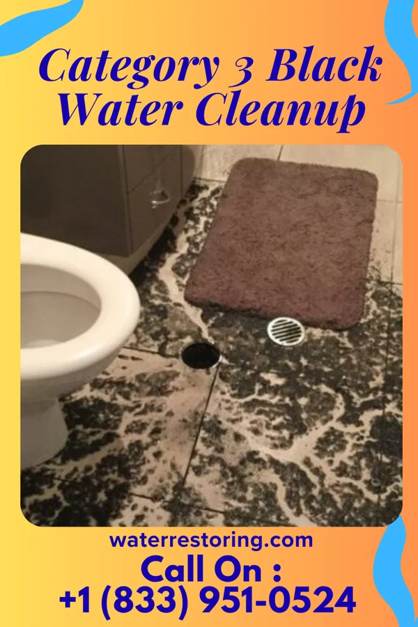 Category 3 Black Water Cleanup in Waelder, TX