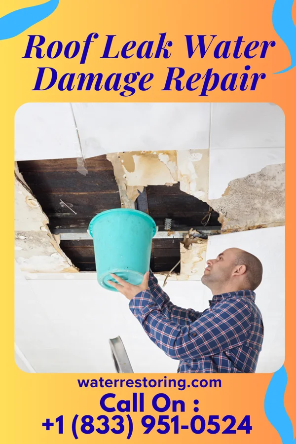 Roof Leak Water Damage Repair in Waelder, TX