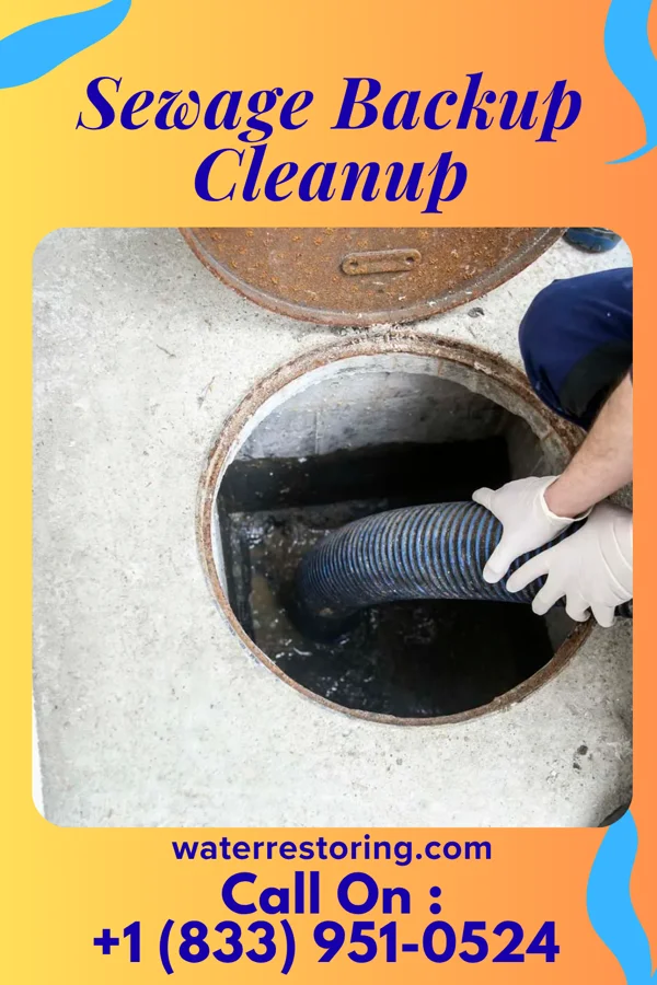 Sewage Backup Cleanup in Waelder, TX